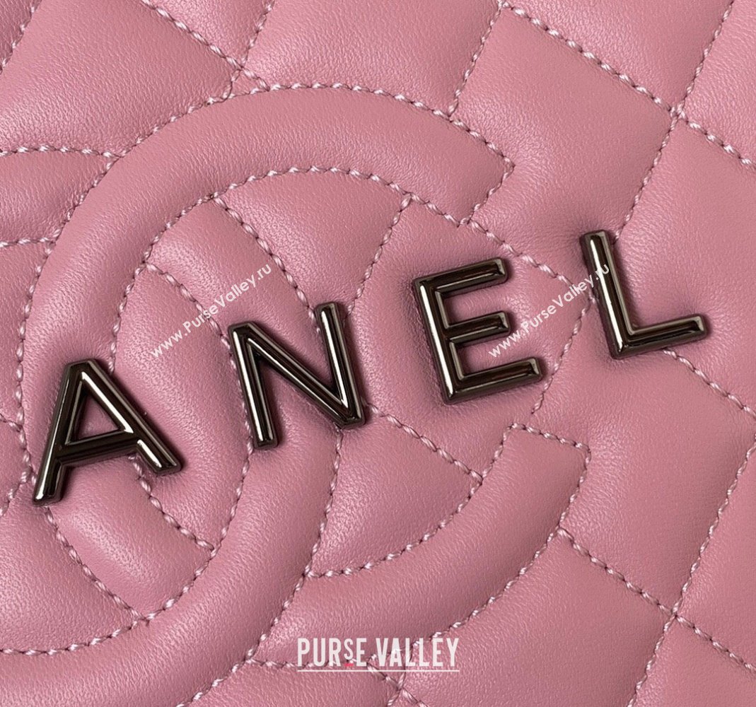 Chanel Lambskin Star Handbag AS4579 Light Pink/Black 2023 (yezi-231208009)