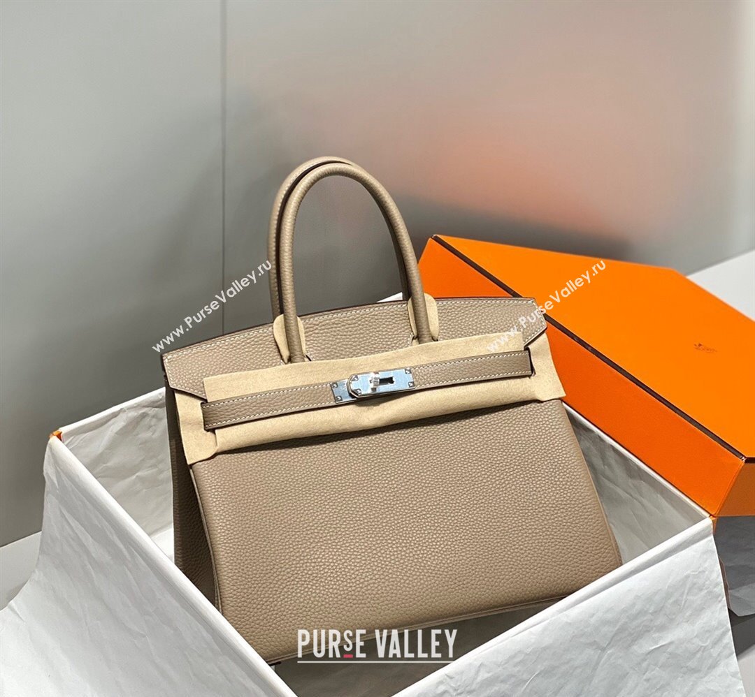 Hermes Birkin 25cm Bag in Togo Calfskin Dove Grey/Silver 2023 1227 (FL-231227088)