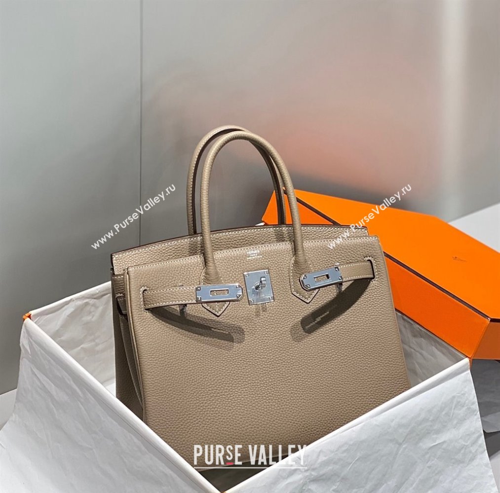 Hermes Birkin 25cm Bag in Togo Calfskin Dove Grey/Silver 2023 1227 (FL-231227088)