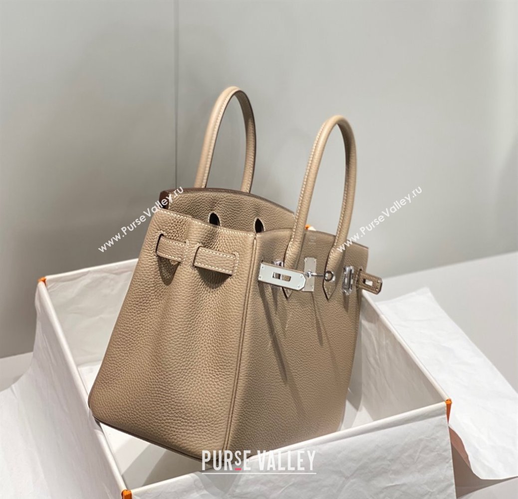 Hermes Birkin 25cm Bag in Togo Calfskin Dove Grey/Silver 2023 1227 (FL-231227088)