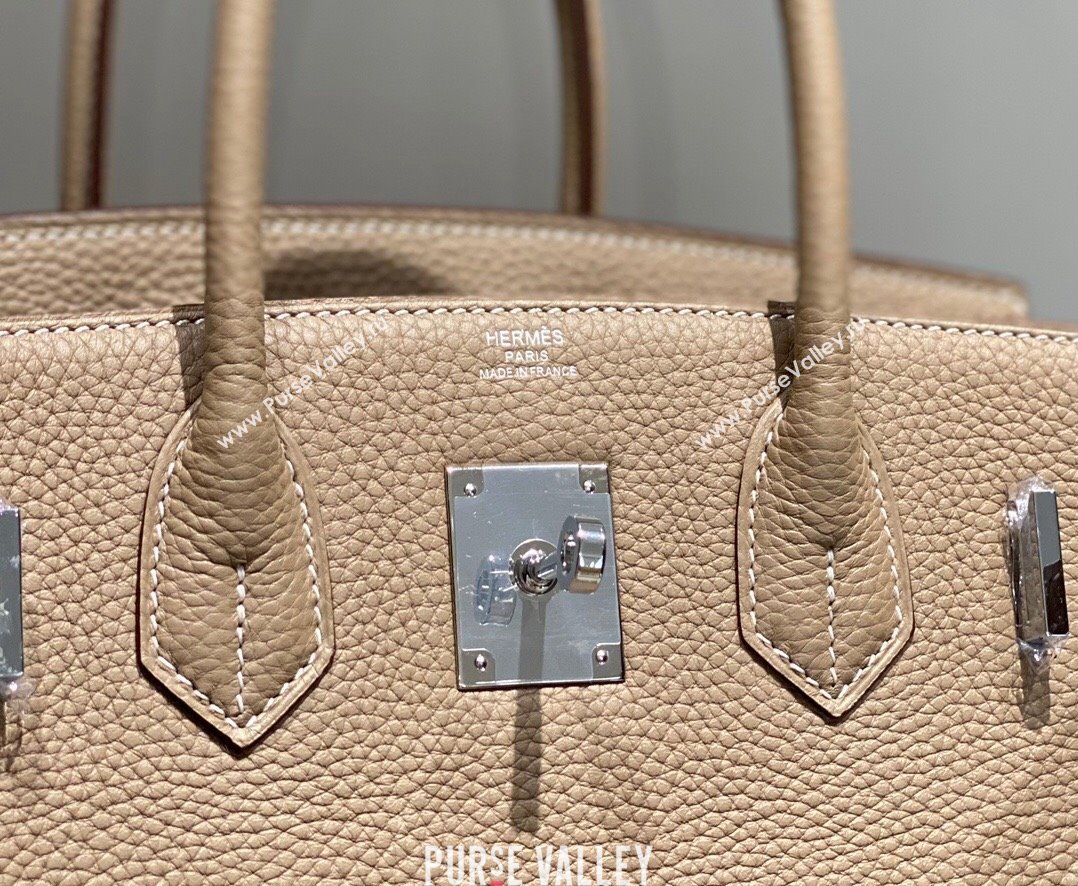 Hermes Birkin 25cm Bag in Togo Calfskin Dove Grey/Silver 2023 1227 (FL-231227088)