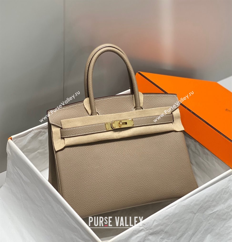 Hermes Birkin 25cm Bag in Togo Calfskin Dove Grey/Gold 2023 1227 (FL-231227089)