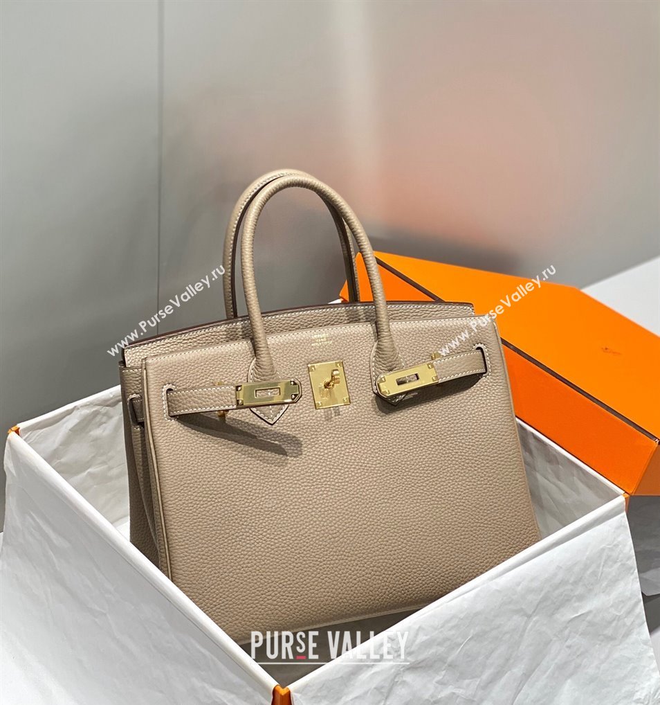 Hermes Birkin 25cm Bag in Togo Calfskin Dove Grey/Gold 2023 1227 (FL-231227089)