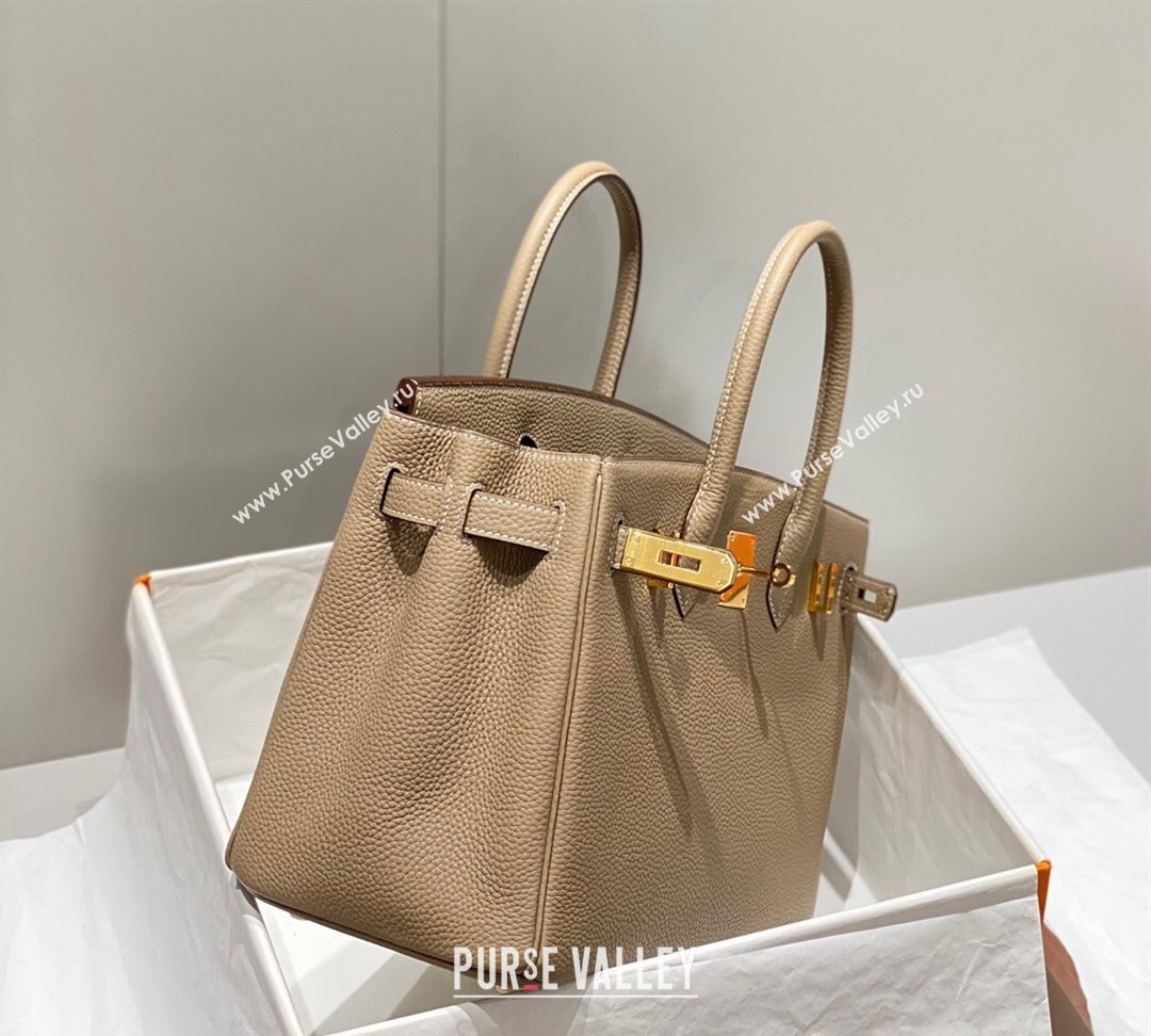 Hermes Birkin 25cm Bag in Togo Calfskin Dove Grey/Gold 2023 1227 (FL-231227089)