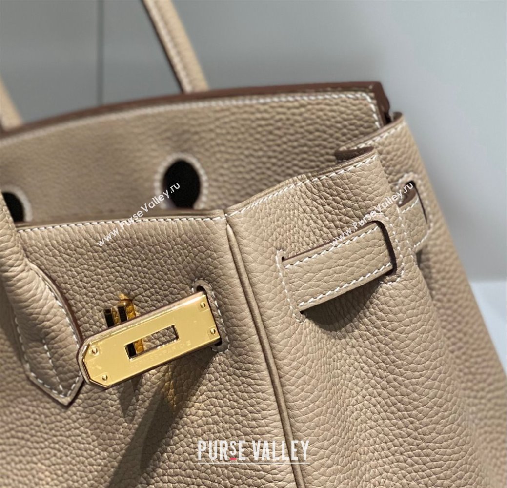 Hermes Birkin 25cm Bag in Togo Calfskin Dove Grey/Gold 2023 1227 (FL-231227089)