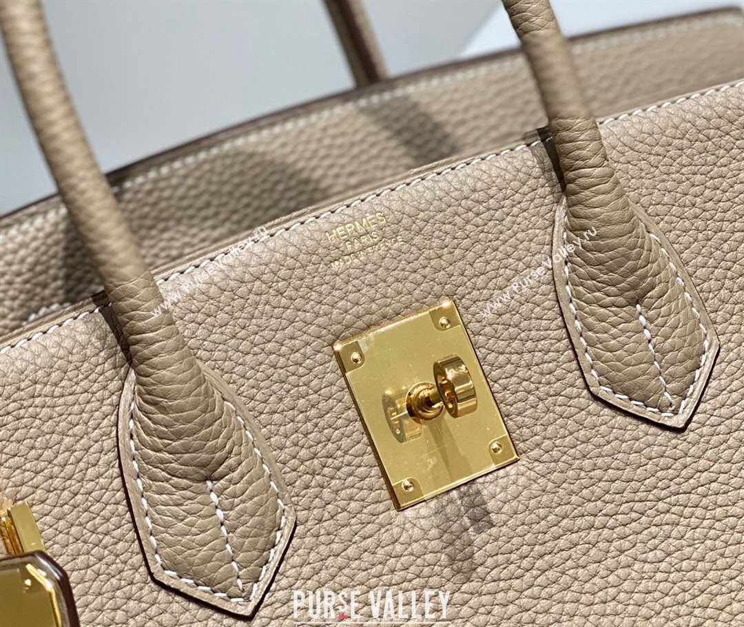 Hermes Birkin 25cm Bag in Togo Calfskin Dove Grey/Gold 2023 1227 (FL-231227089)