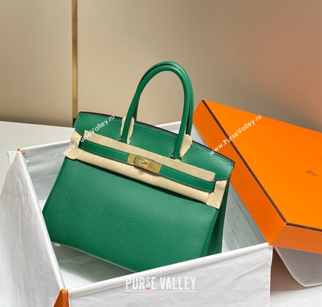 Hermes Birkin 25cm Bag in Togo Calfskin Emerald Green 2023 1227 (FL-231227095)