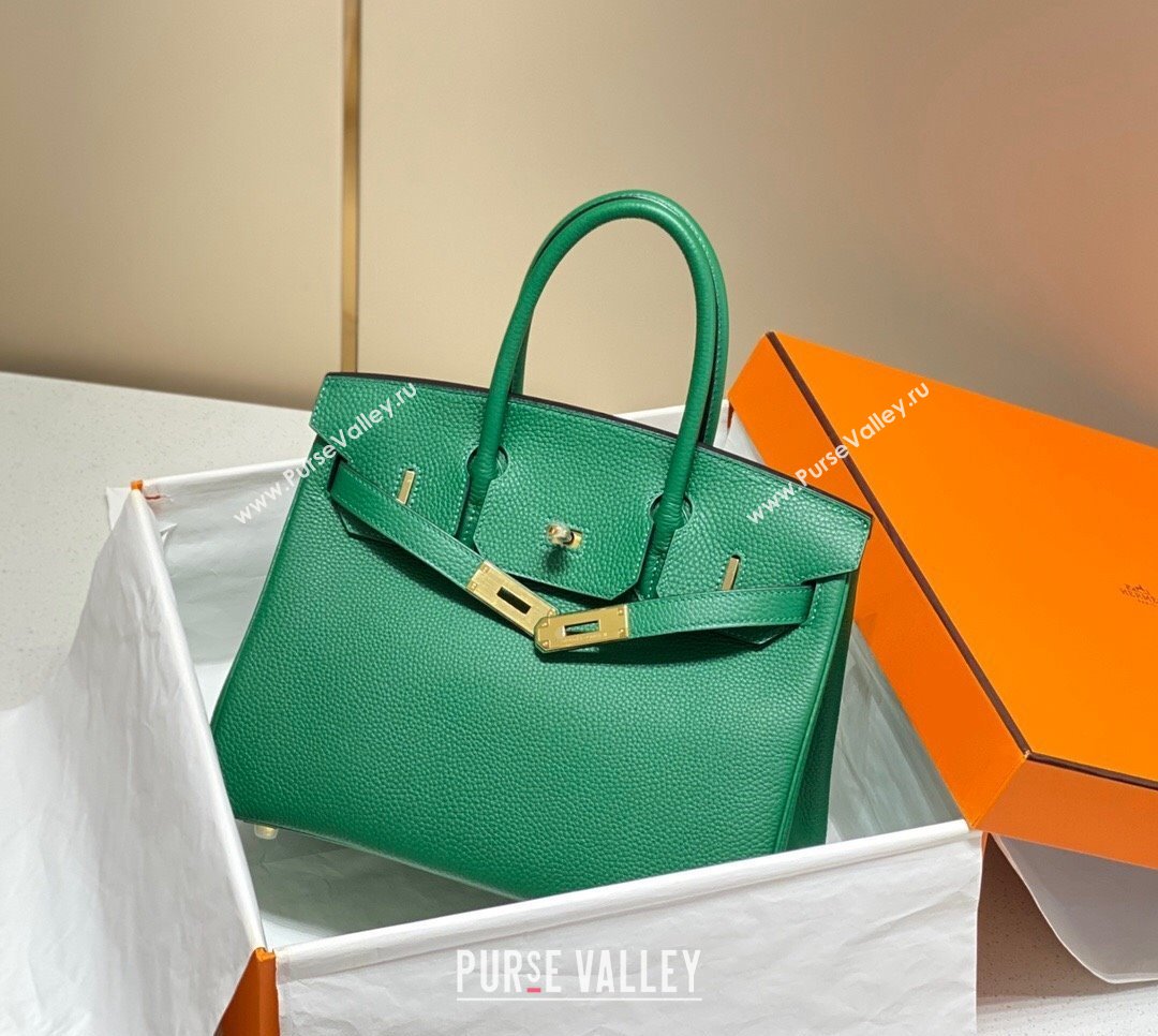 Hermes Birkin 25cm Bag in Togo Calfskin Emerald Green 2023 1227 (FL-231227095)