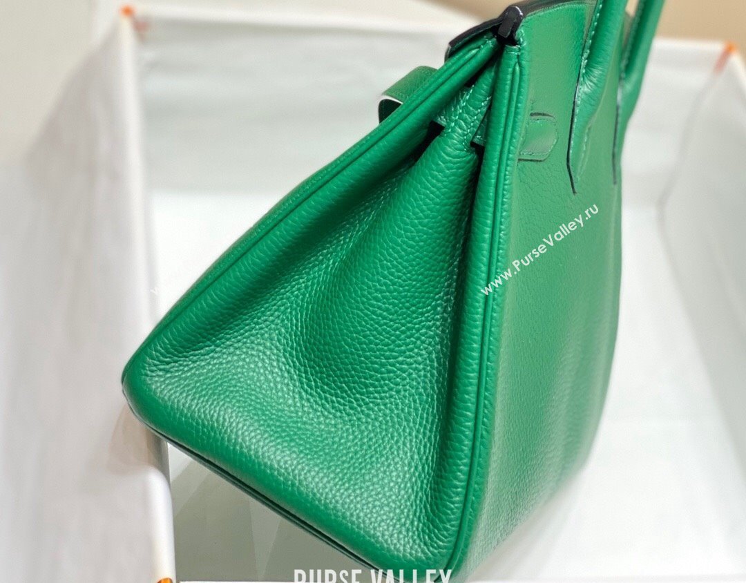 Hermes Birkin 25cm Bag in Togo Calfskin Emerald Green 2023 1227 (FL-231227095)