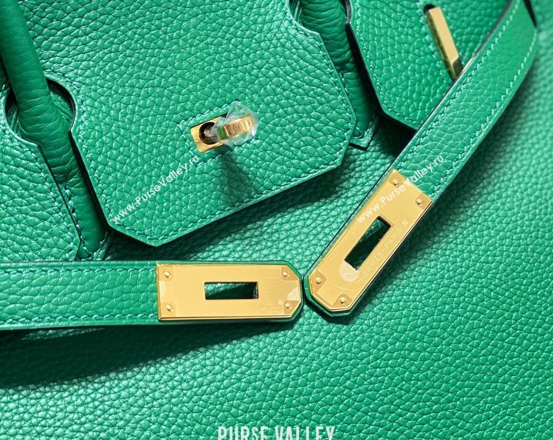 Hermes Birkin 25cm Bag in Togo Calfskin Emerald Green 2023 1227 (FL-231227095)