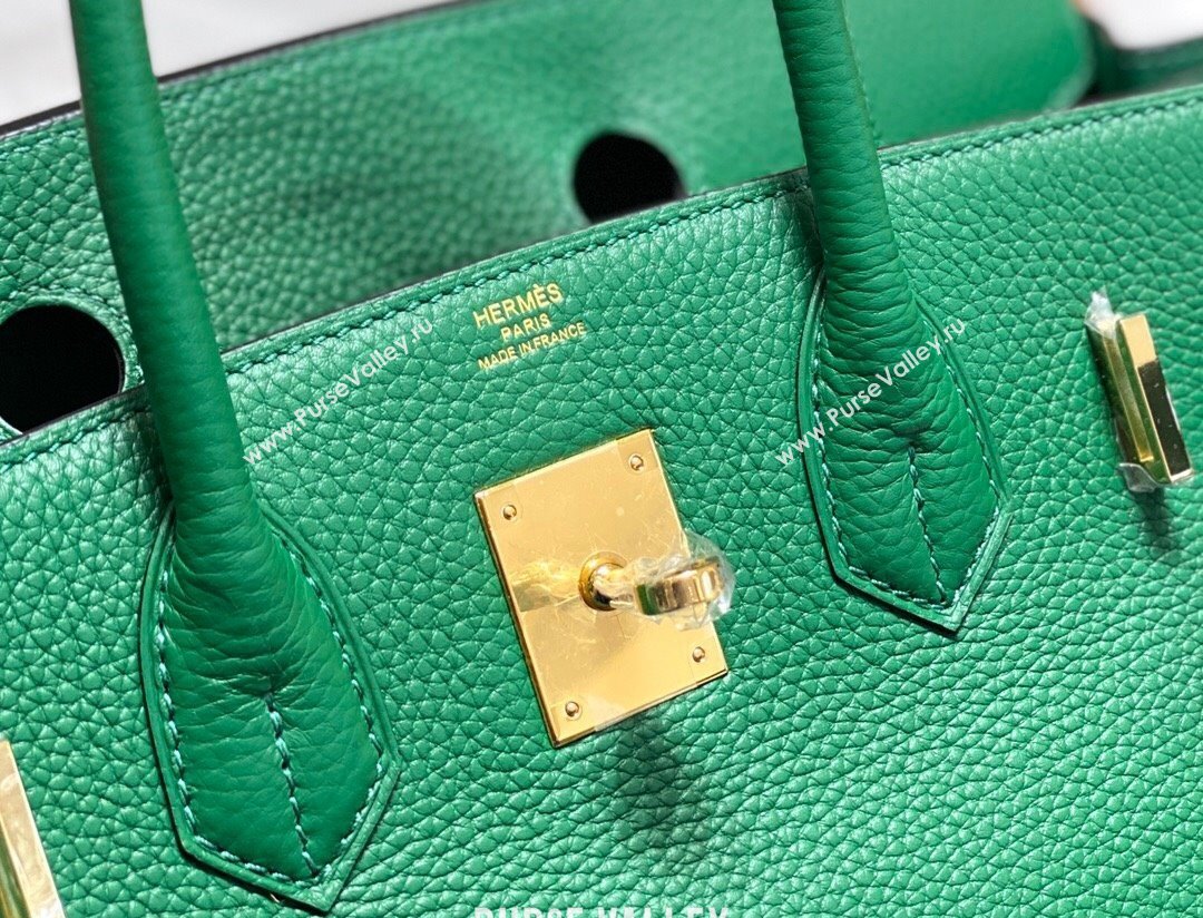 Hermes Birkin 25cm Bag in Togo Calfskin Emerald Green 2023 1227 (FL-231227095)