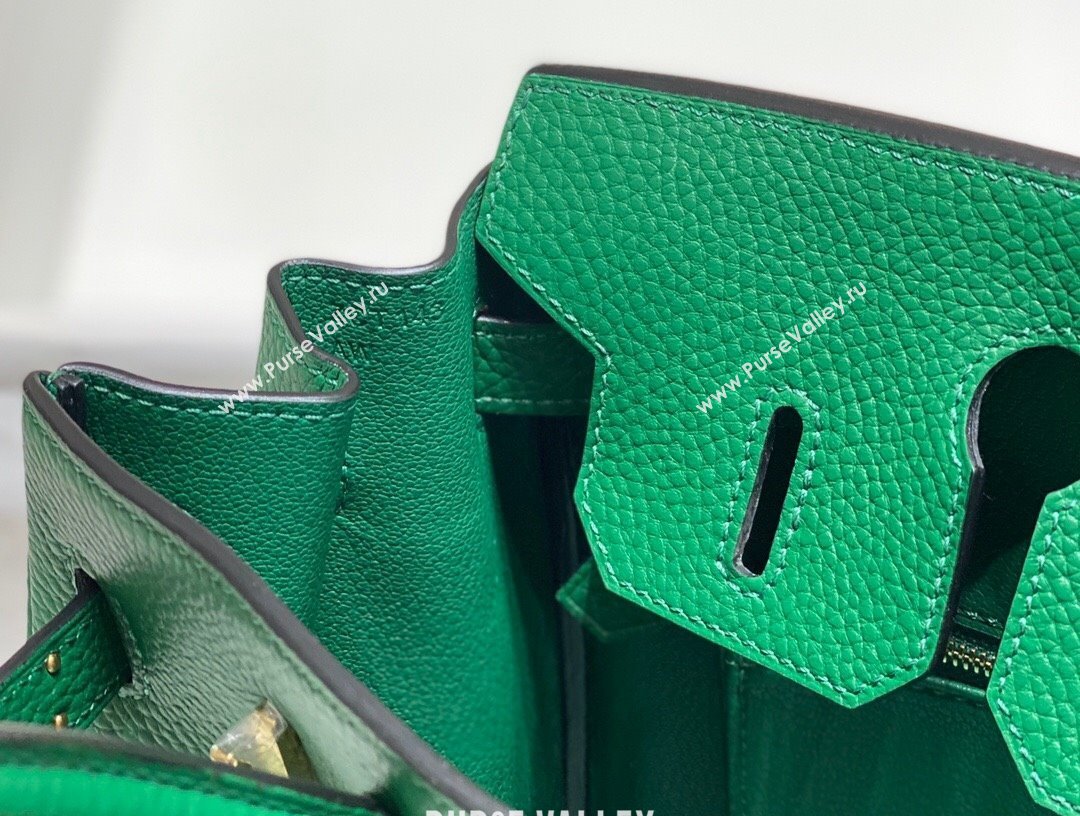 Hermes Birkin 25cm Bag in Togo Calfskin Emerald Green 2023 1227 (FL-231227095)