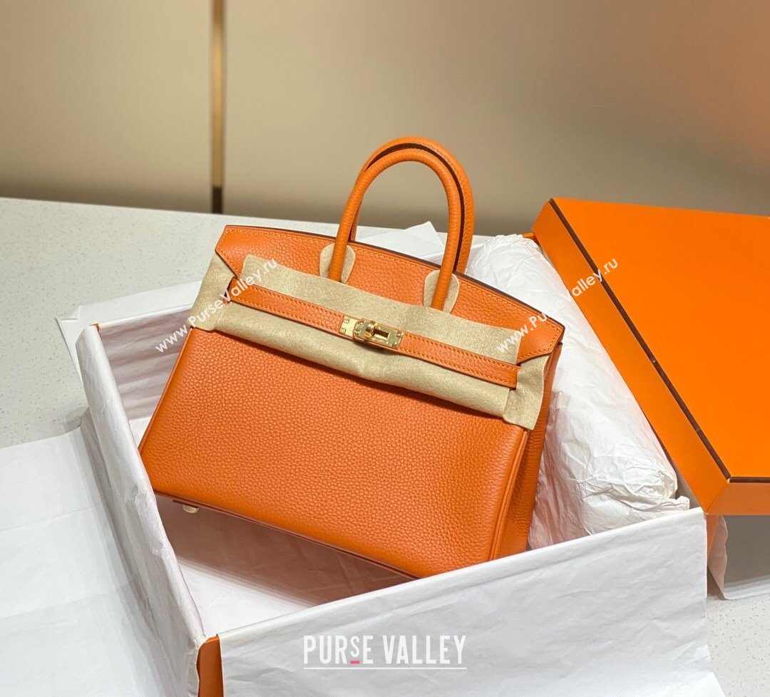 Hermes Birkin 25cm Bag in Togo Calfskin Hermes Orange 2023 1227 (FL-231227099)