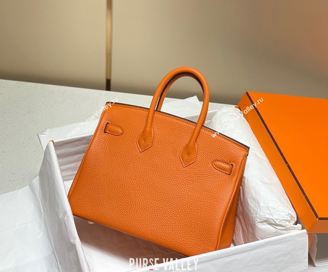 Hermes Birkin 25cm Bag in Togo Calfskin Hermes Orange 2023 1227 (FL-231227099)