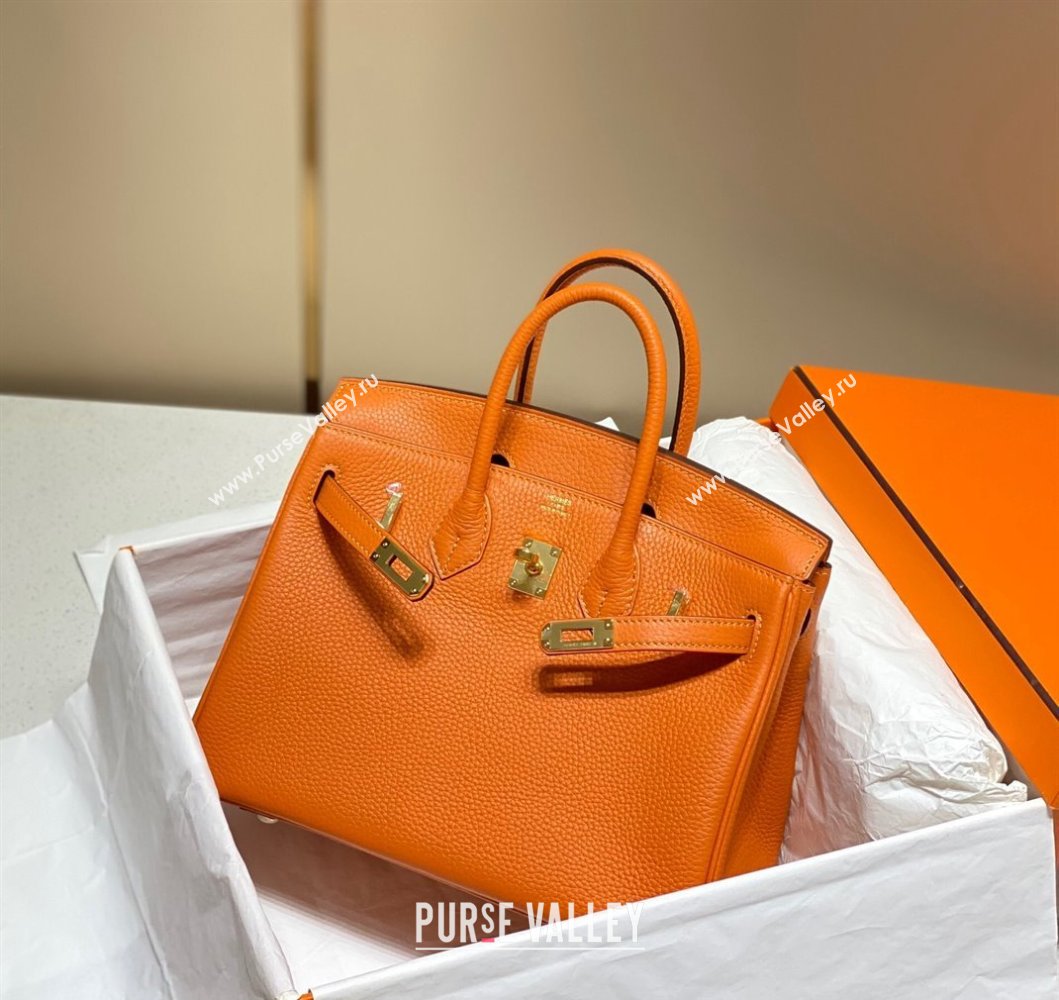 Hermes Birkin 25cm Bag in Togo Calfskin Hermes Orange 2023 1227 (FL-231227099)