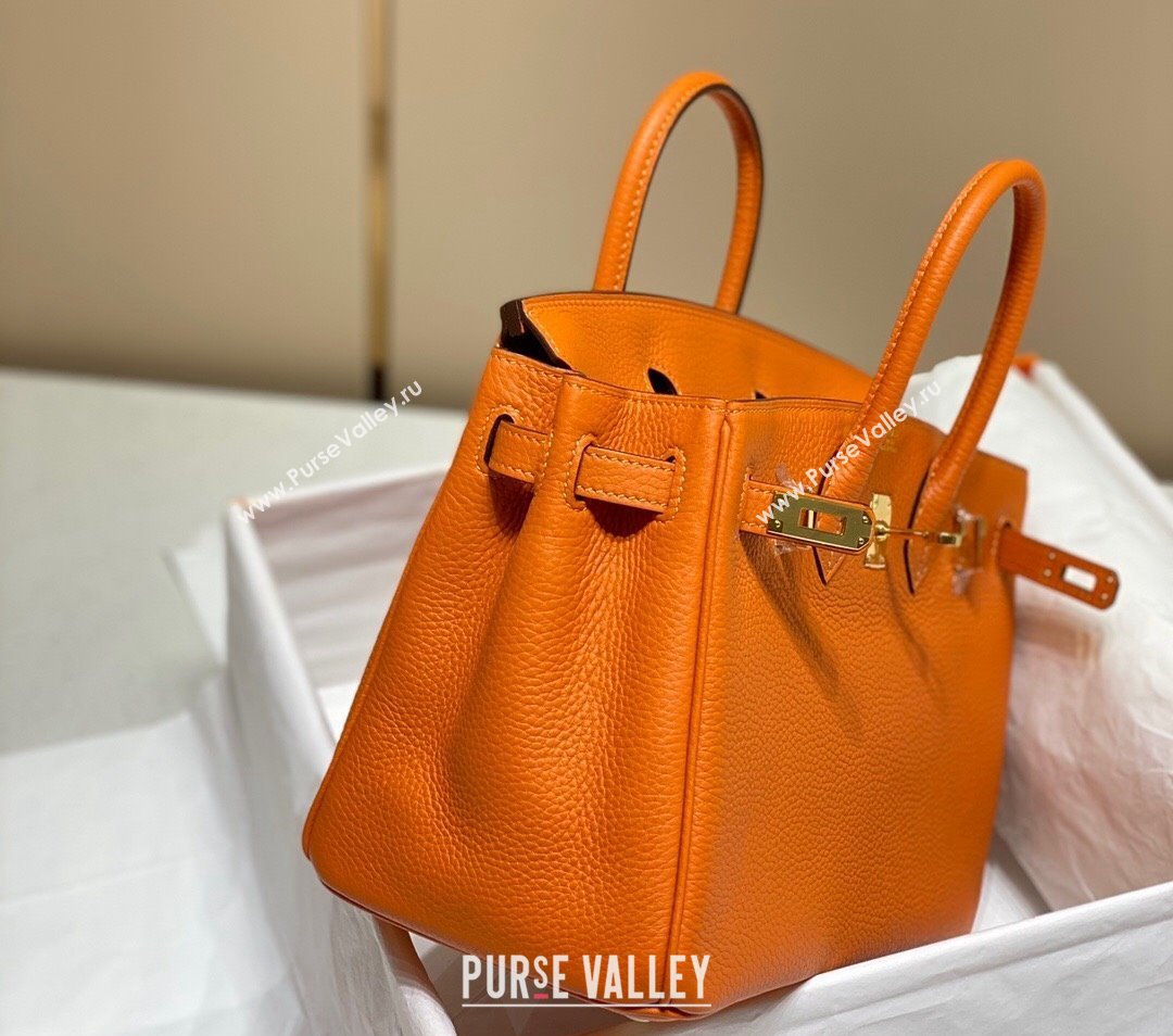 Hermes Birkin 25cm Bag in Togo Calfskin Hermes Orange 2023 1227 (FL-231227099)