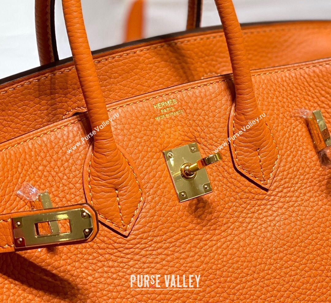 Hermes Birkin 25cm Bag in Togo Calfskin Hermes Orange 2023 1227 (FL-231227099)