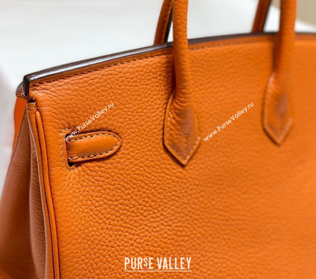 Hermes Birkin 25cm Bag in Togo Calfskin Hermes Orange 2023 1227 (FL-231227099)