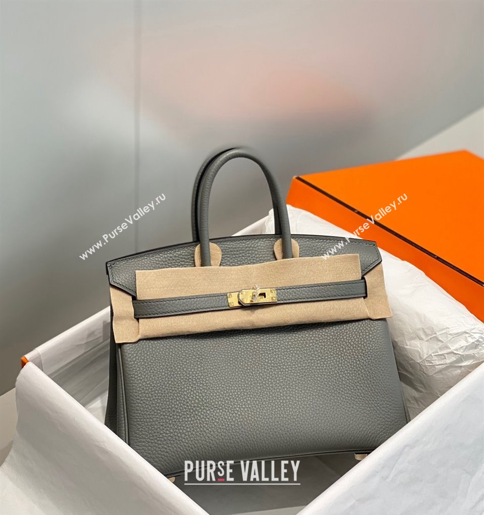 Hermes Birkin 25cm Bag in Togo Calfskin Cloud Grey 2023 1227 (FL-231227100)