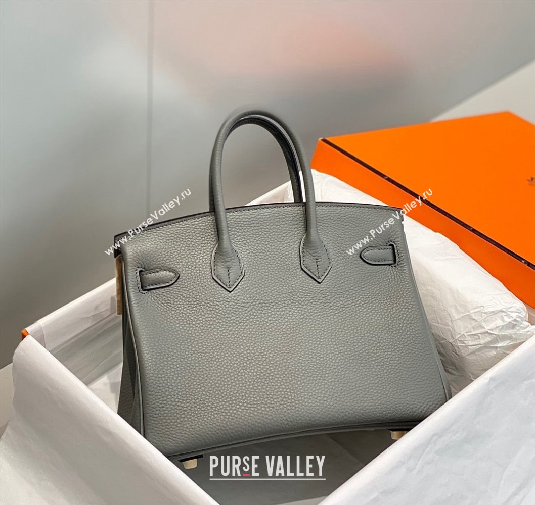 Hermes Birkin 25cm Bag in Togo Calfskin Cloud Grey 2023 1227 (FL-231227100)