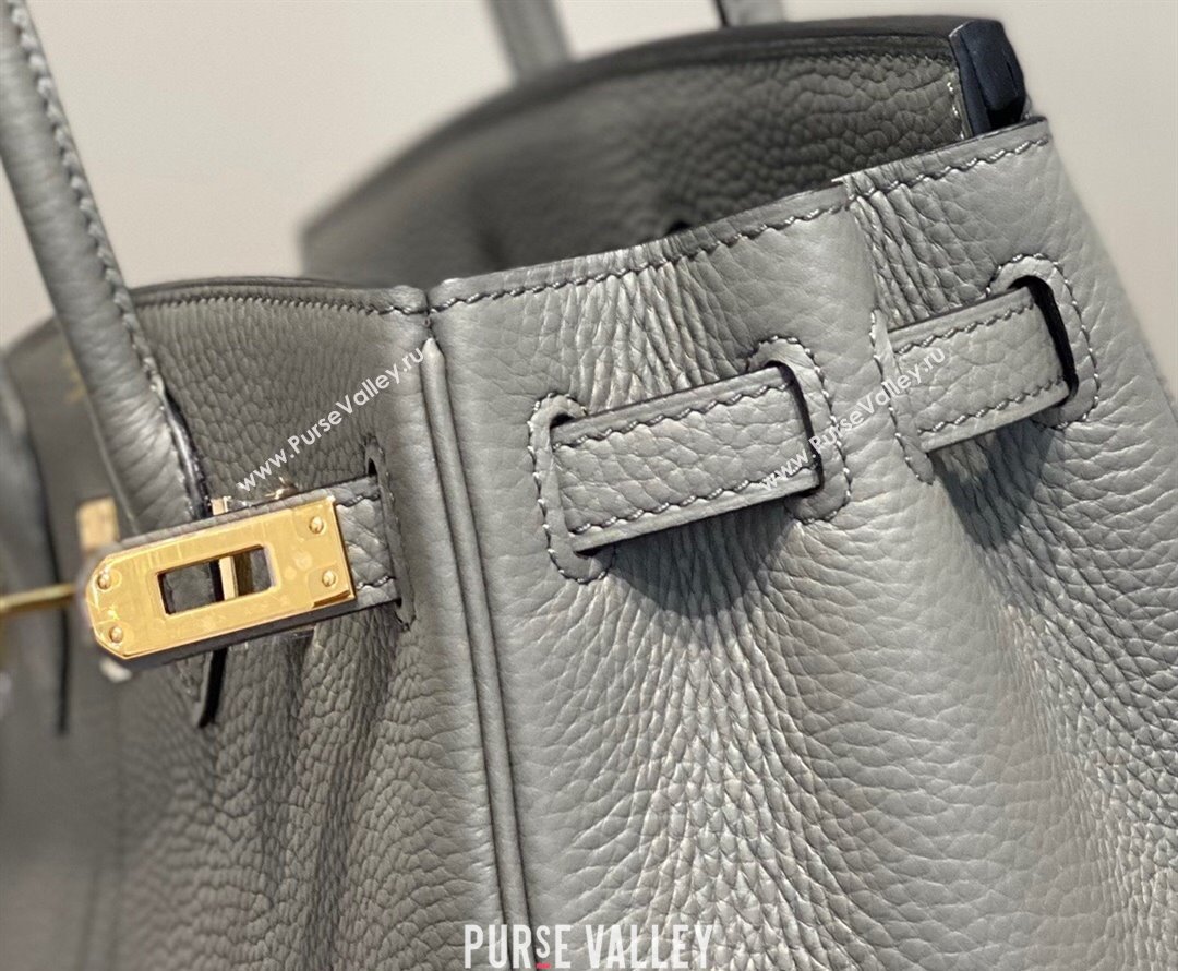 Hermes Birkin 25cm Bag in Togo Calfskin Cloud Grey 2023 1227 (FL-231227100)