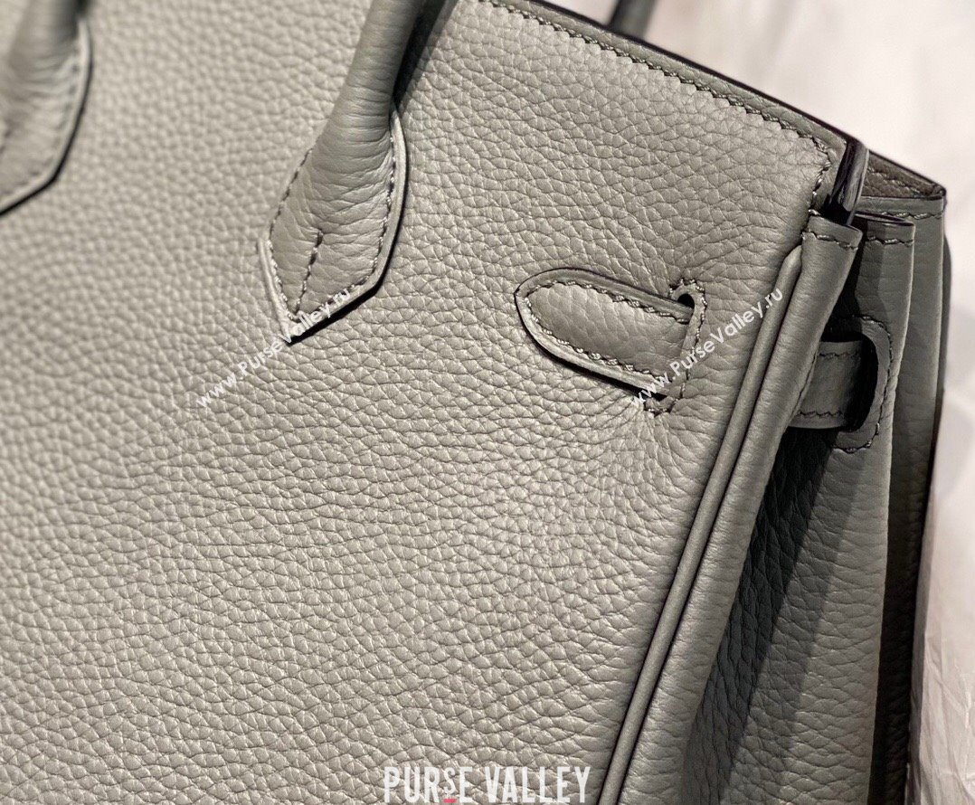 Hermes Birkin 25cm Bag in Togo Calfskin Cloud Grey 2023 1227 (FL-231227100)