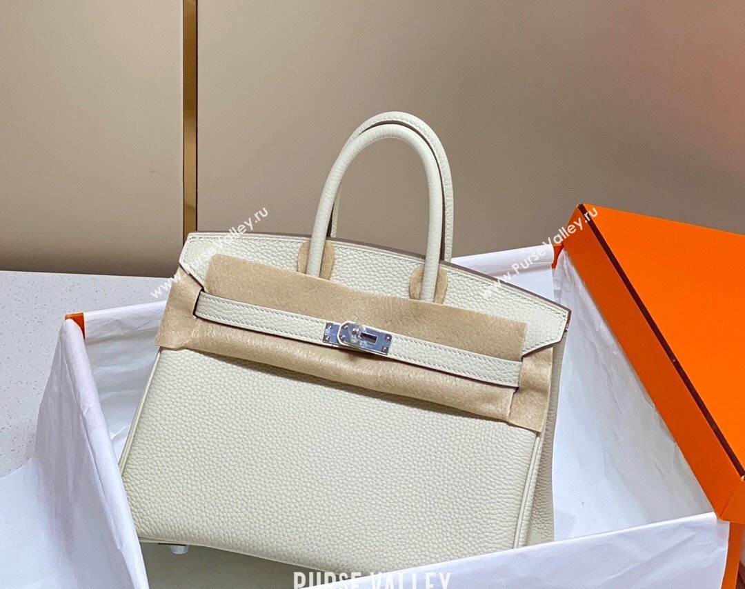 Hermes Birkin 25cm Bag in Togo Calfskin Cream White 2023 1227 (FL-231227102)