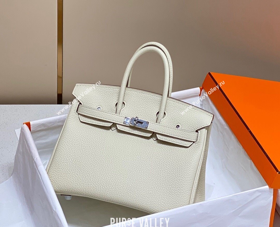 Hermes Birkin 25cm Bag in Togo Calfskin Cream White 2023 1227 (FL-231227102)