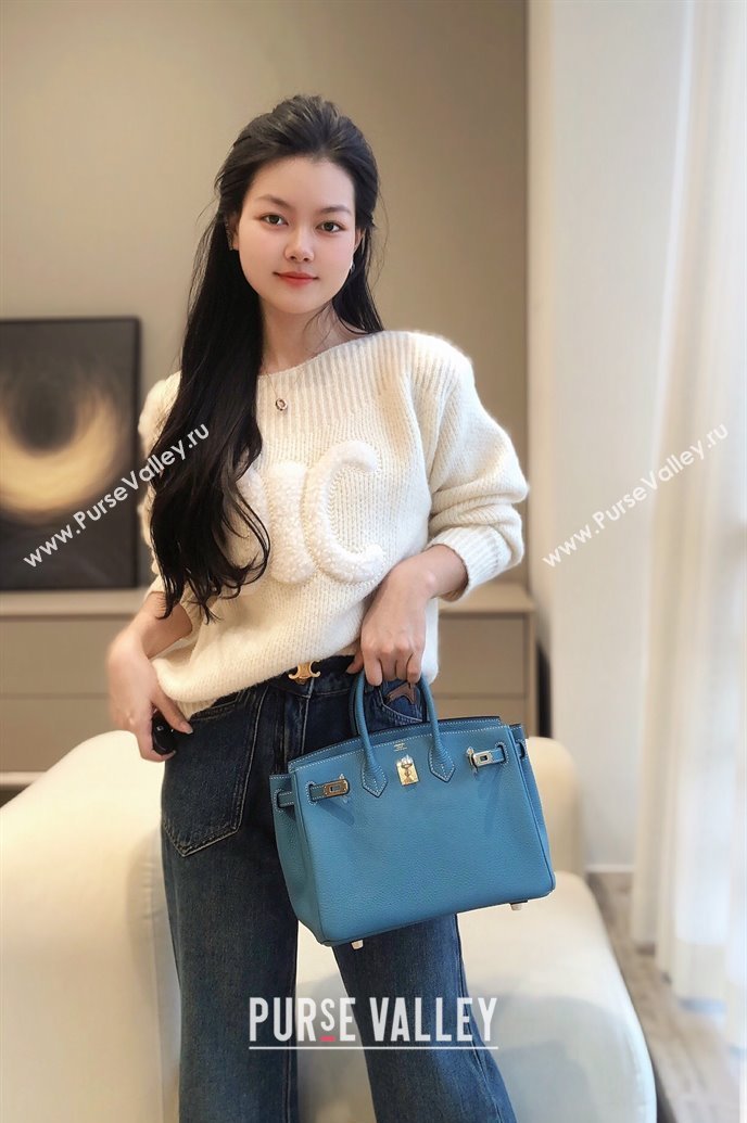 Hermes Birkin 25cm Bag in Togo Calfskin Denim Blue 2023 1227 (FL-231227106)