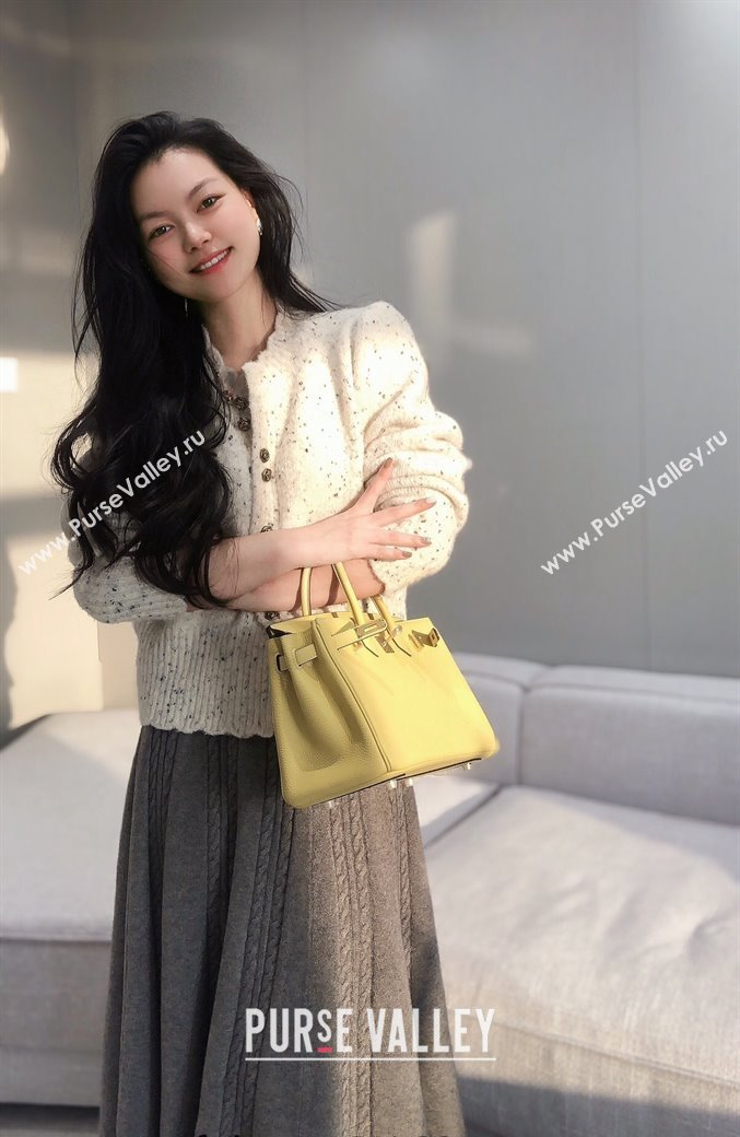 Hermes Birkin 25cm Bag in Togo Calfskin Chick Yellow 2023 1227 (FL-231227108)