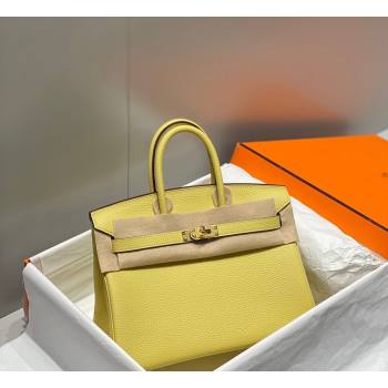 Hermes Birkin 25cm Bag in Togo Calfskin Chick Yellow 2023 1227 (FL-231227108)