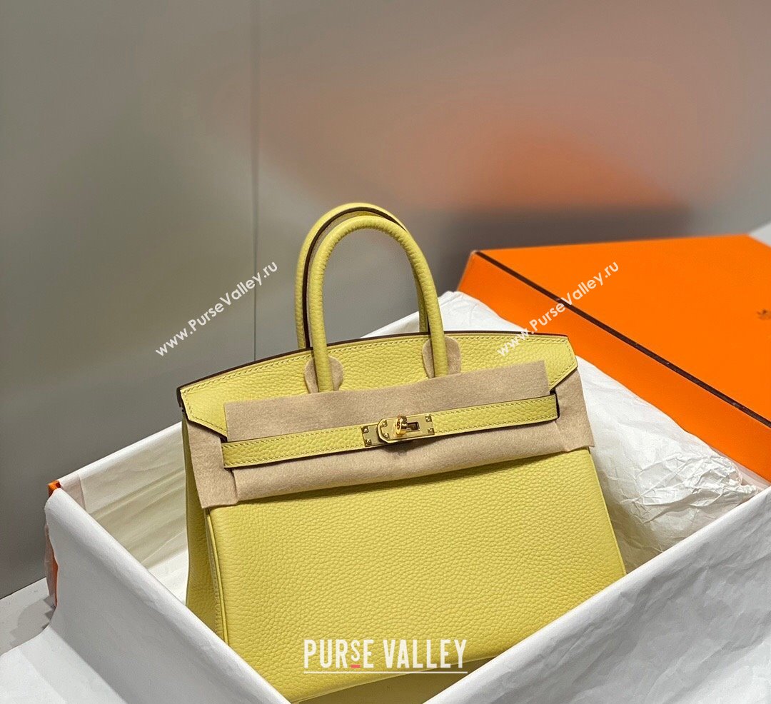 Hermes Birkin 25cm Bag in Togo Calfskin Chick Yellow 2023 1227 (FL-231227108)