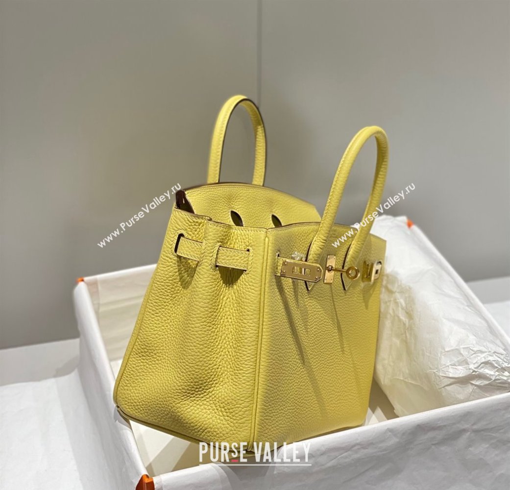 Hermes Birkin 25cm Bag in Togo Calfskin Chick Yellow 2023 1227 (FL-231227108)