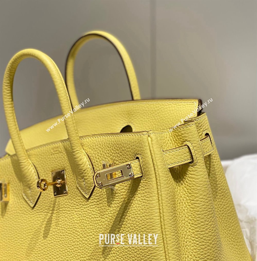 Hermes Birkin 25cm Bag in Togo Calfskin Chick Yellow 2023 1227 (FL-231227108)