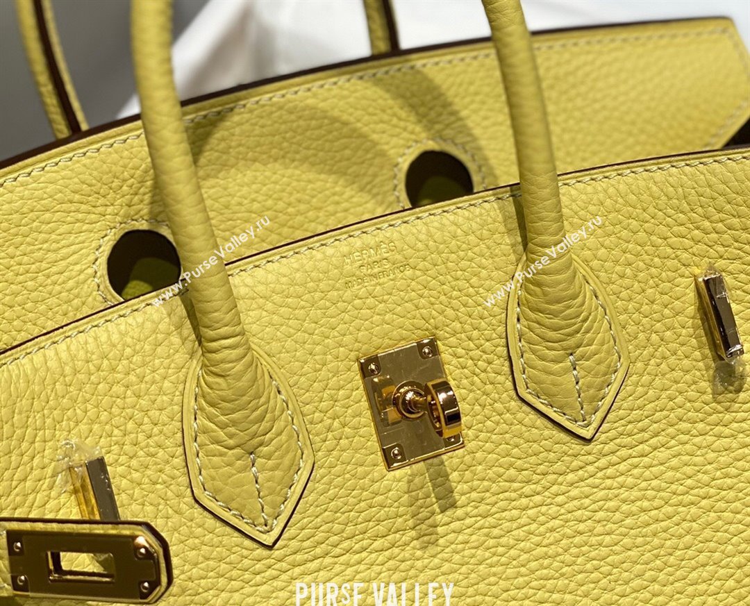 Hermes Birkin 25cm Bag in Togo Calfskin Chick Yellow 2023 1227 (FL-231227108)