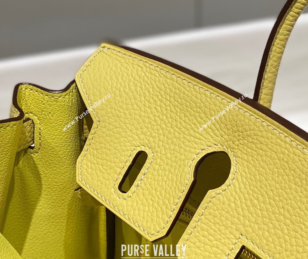 Hermes Birkin 25cm Bag in Togo Calfskin Chick Yellow 2023 1227 (FL-231227108)