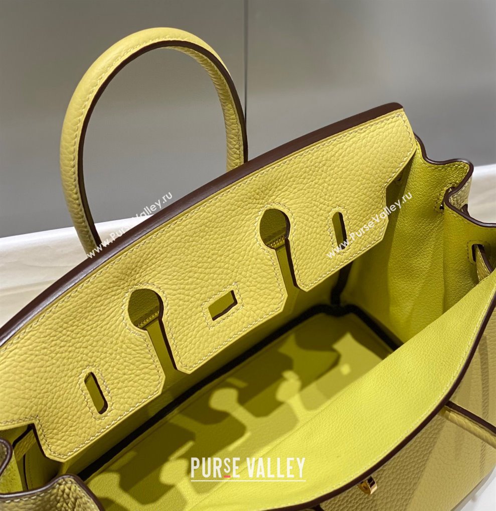 Hermes Birkin 25cm Bag in Togo Calfskin Chick Yellow 2023 1227 (FL-231227108)