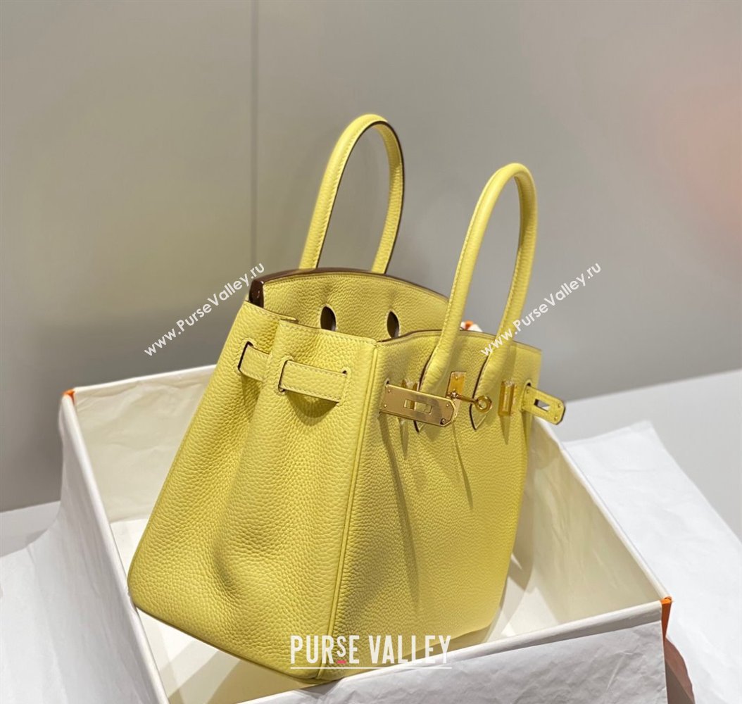 Hermes Birkin 30cm Bag in Togo Calfskin Chick Yellow 2023 1227 (FL-231227109)