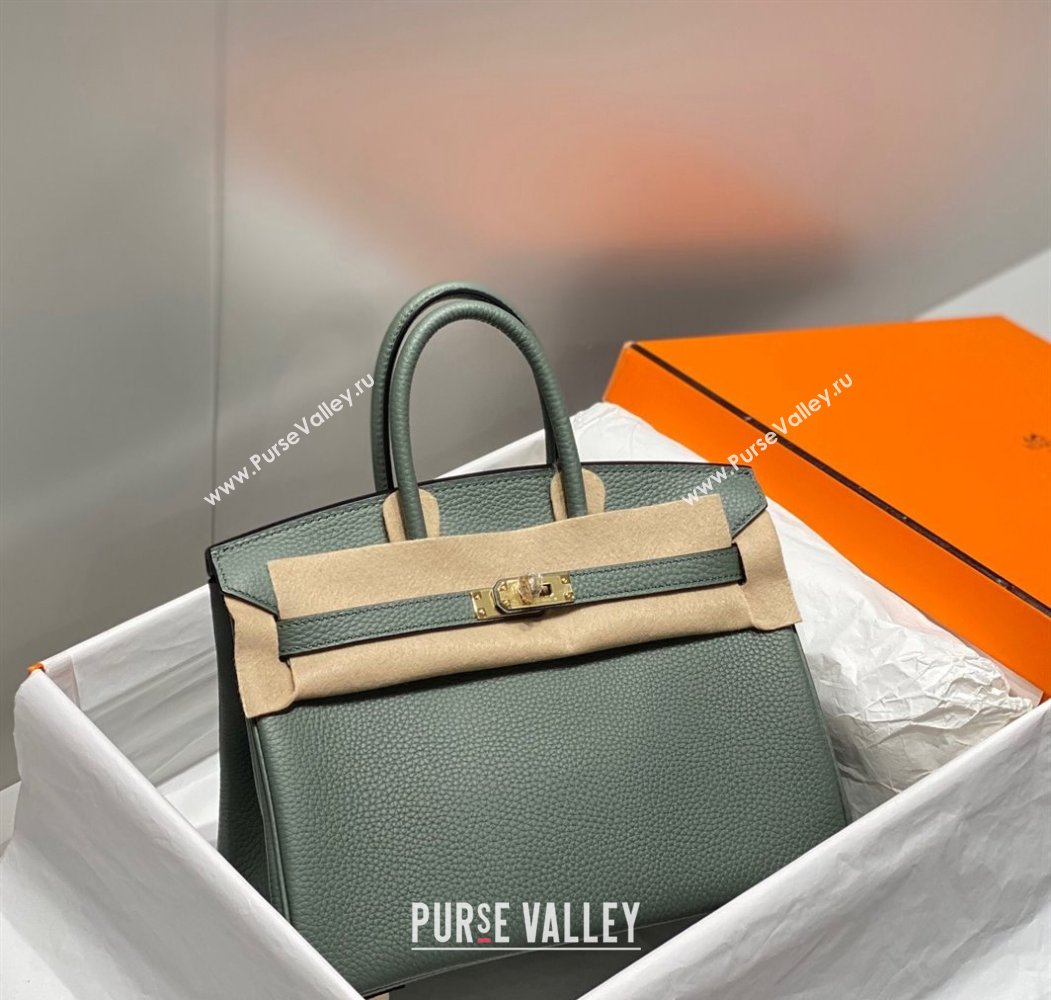 Hermes Birkin 25cm Bag in Togo Calfskin Almond Green 2023 1227 (FL-231227112)