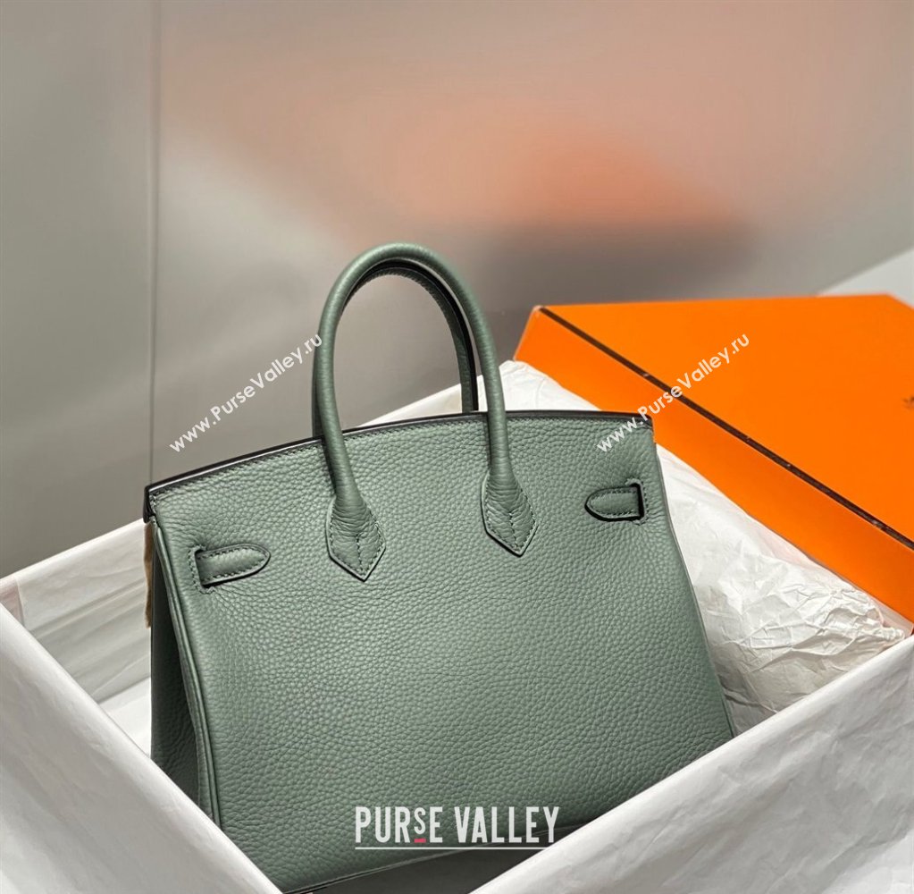 Hermes Birkin 25cm Bag in Togo Calfskin Almond Green 2023 1227 (FL-231227112)