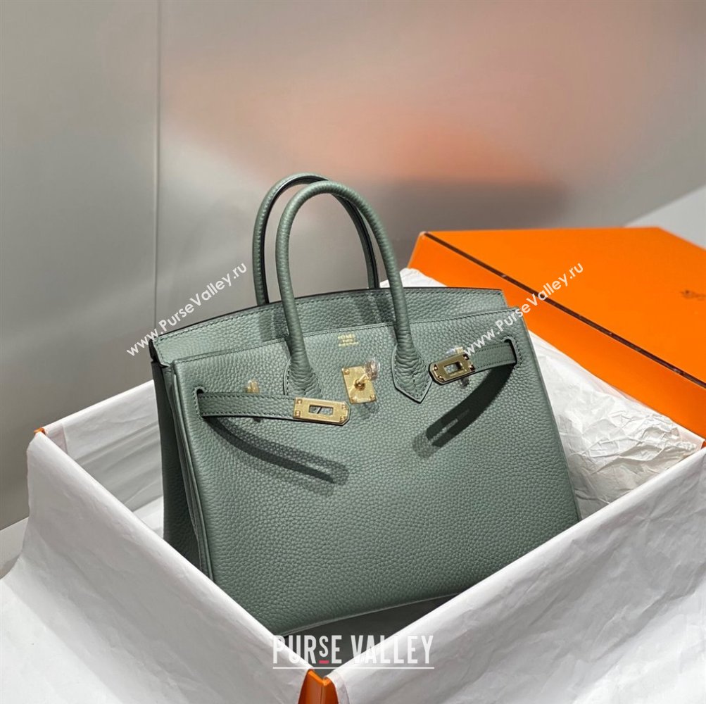 Hermes Birkin 25cm Bag in Togo Calfskin Almond Green 2023 1227 (FL-231227112)