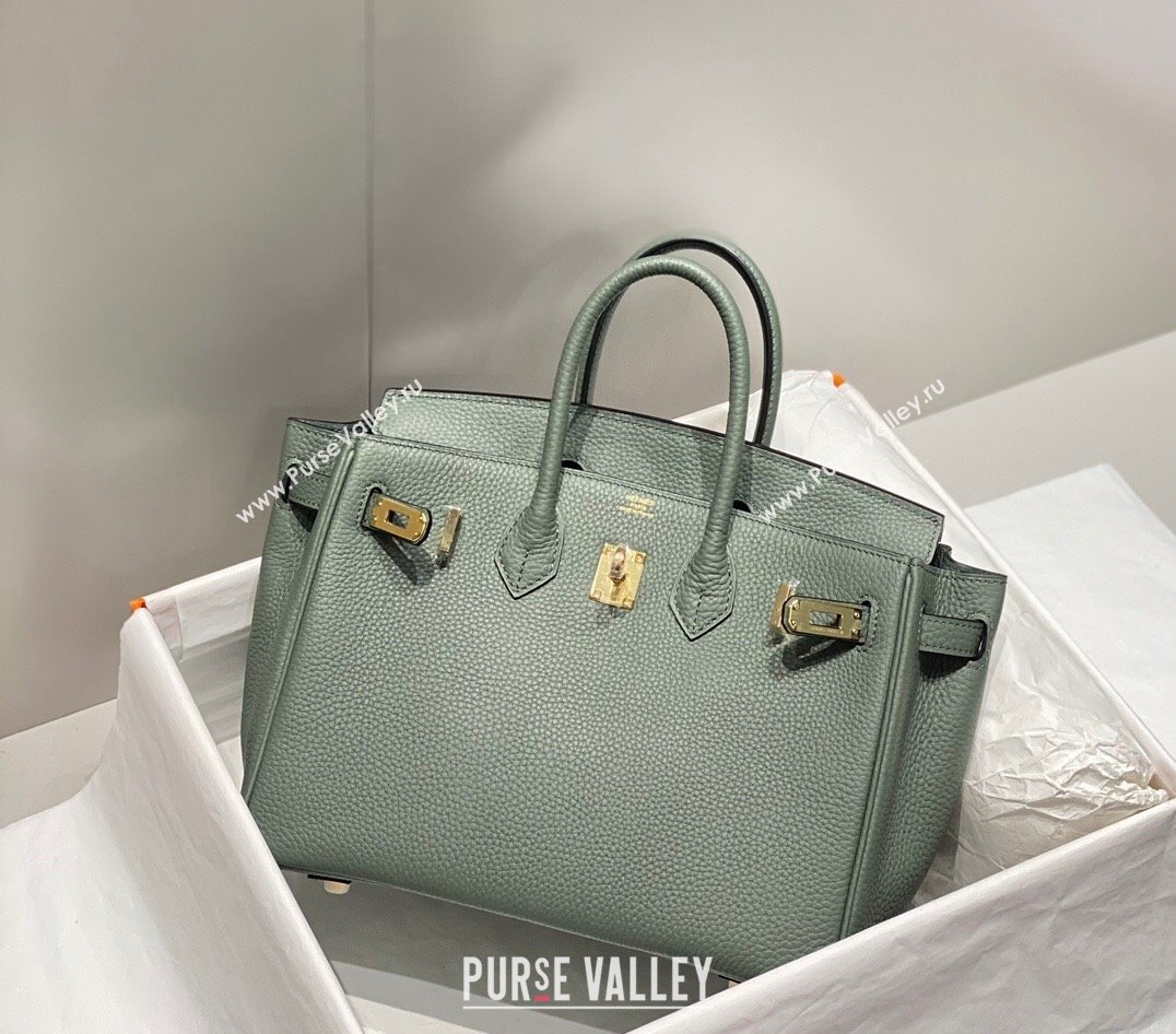 Hermes Birkin 25cm Bag in Togo Calfskin Almond Green 2023 1227 (FL-231227112)