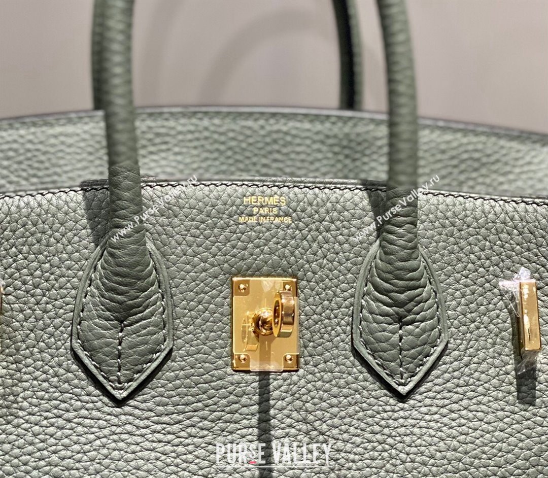 Hermes Birkin 25cm Bag in Togo Calfskin Almond Green 2023 1227 (FL-231227112)