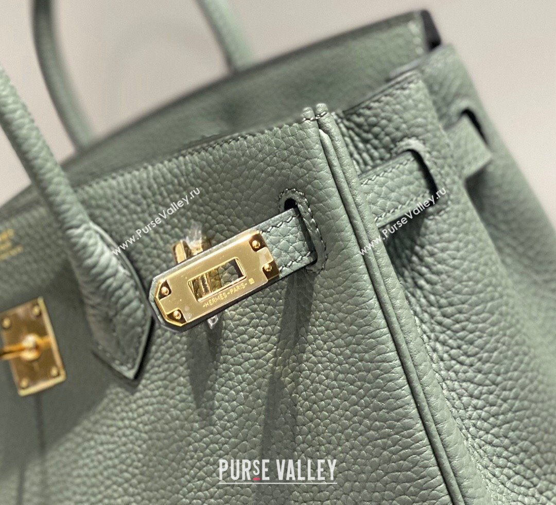 Hermes Birkin 25cm Bag in Togo Calfskin Almond Green 2023 1227 (FL-231227112)