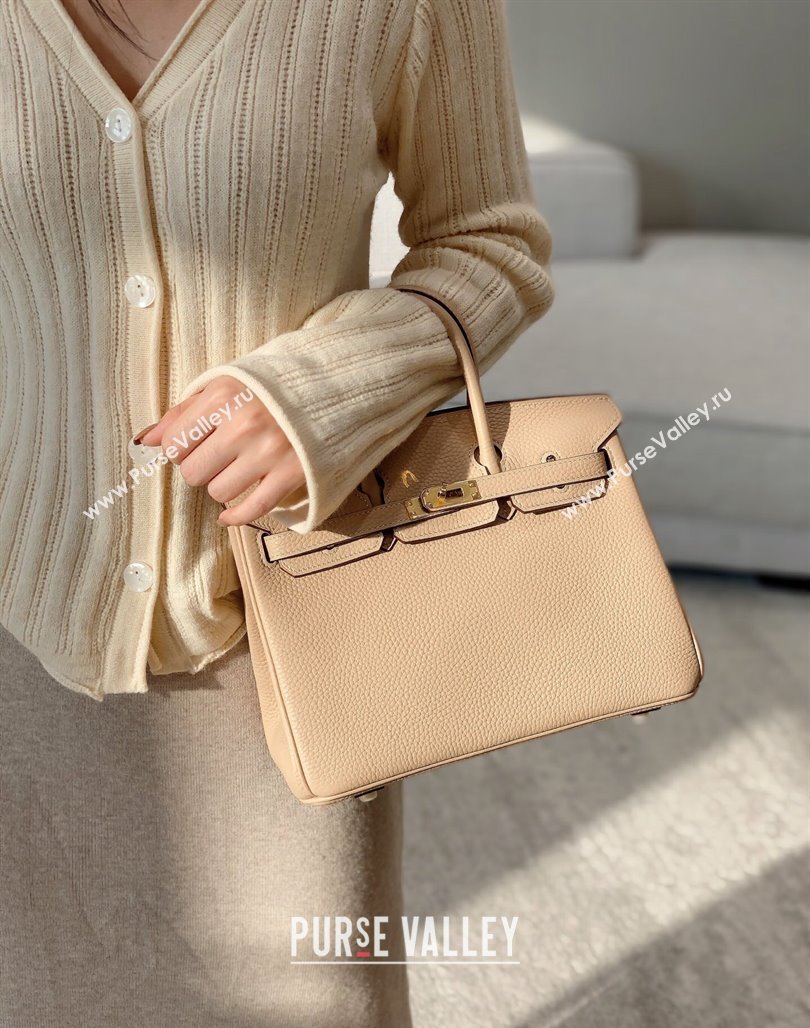 Hermes Birkin 25cm Bag in Togo Calfskin Coat Beige 2023 1227 (FL-231227114)