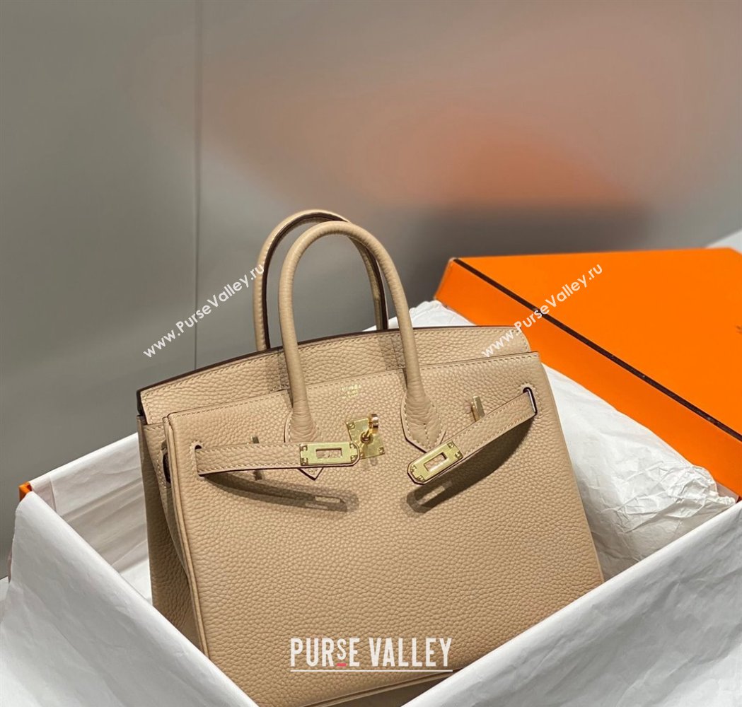 Hermes Birkin 25cm Bag in Togo Calfskin Coat Beige 2023 1227 (FL-231227114)