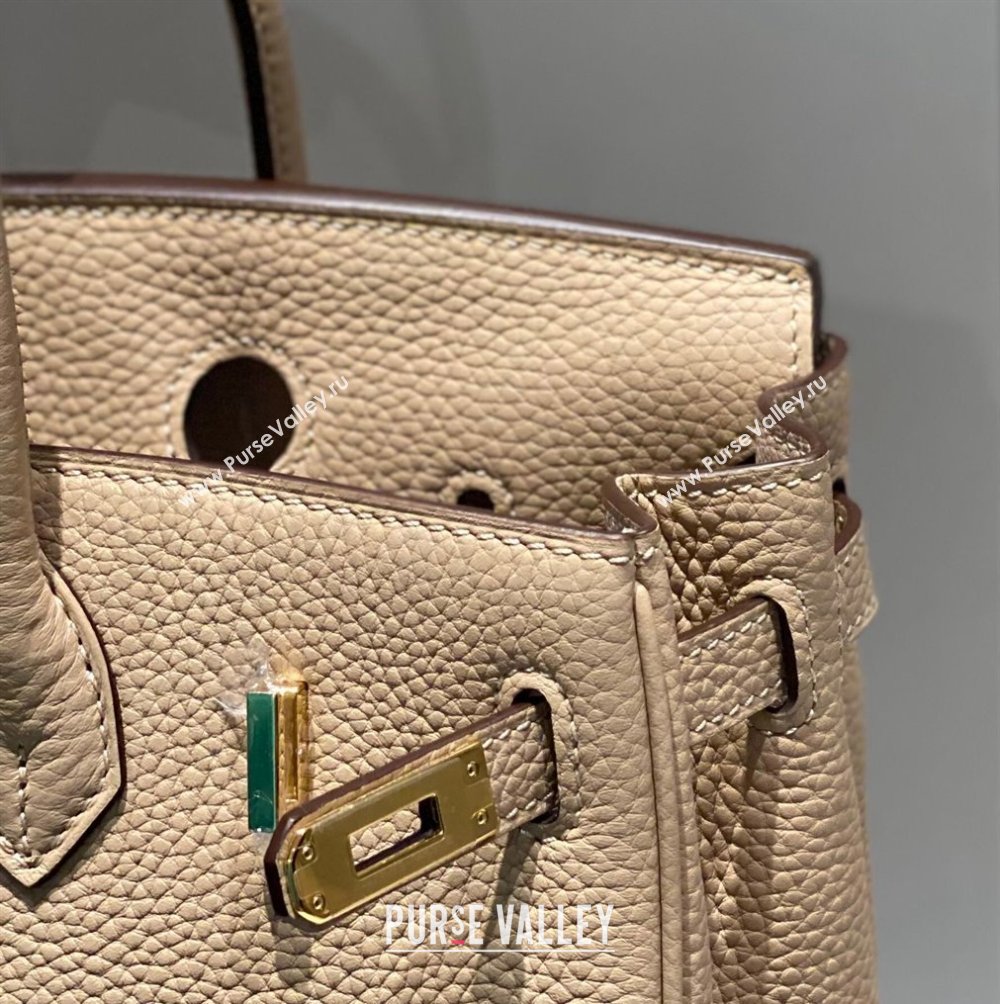 Hermes Birkin 25cm Bag in Togo Calfskin Coat Beige 2023 1227 (FL-231227114)