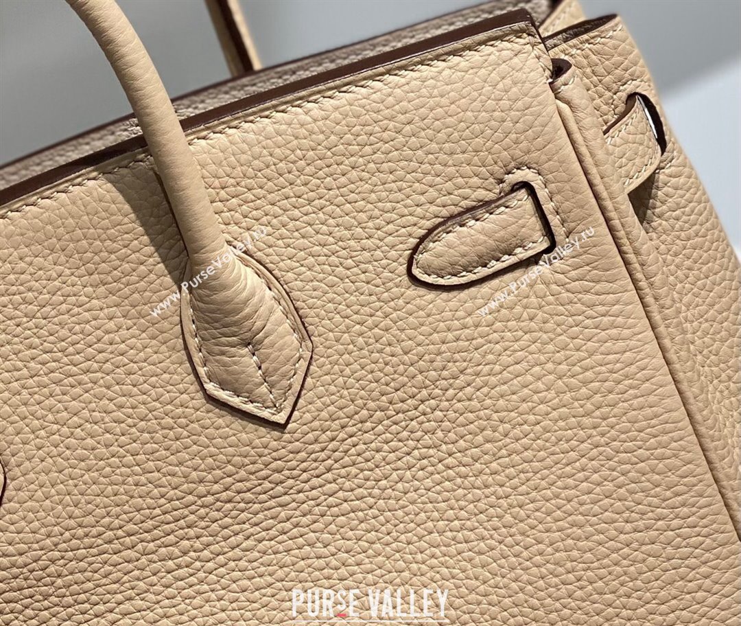 Hermes Birkin 25cm Bag in Togo Calfskin Coat Beige 2023 1227 (FL-231227114)