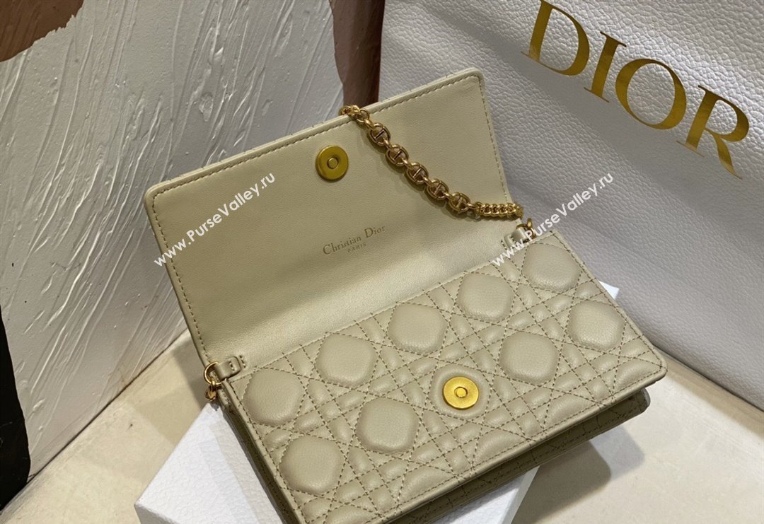 Dior Caro Pouch with Chain in Supple Cannage Calfskin Beige 2023 5134 (BF-231228063)