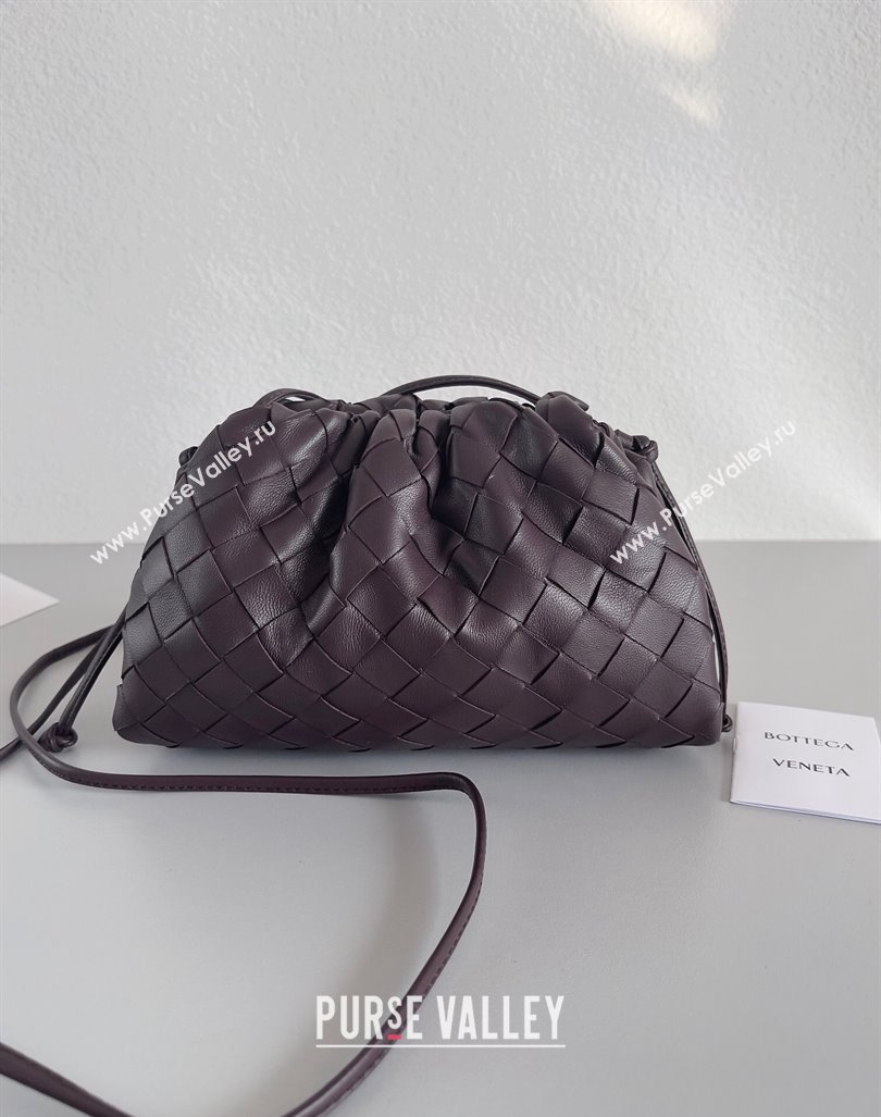 Bottega Veneta Mini Pouch Bag in Wide Intrecciato Leather Fondant Brown 2023 585852 (YX-231226018)